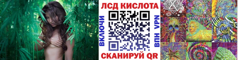 Наркотические марки 1,8мг Реутов