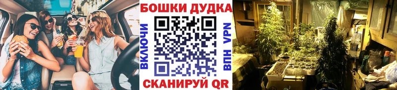 Купить закладки  Реутов  Бошки марихуана THC 21% 